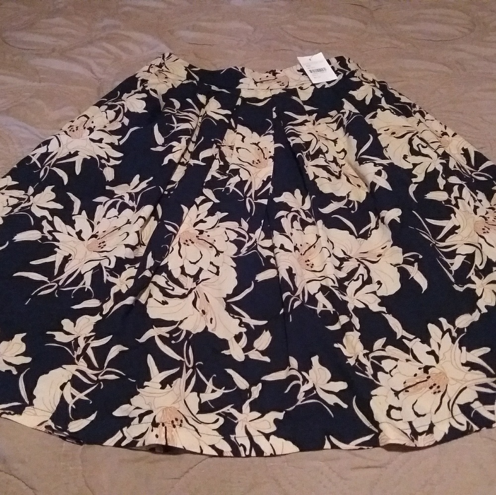 Astr skirt